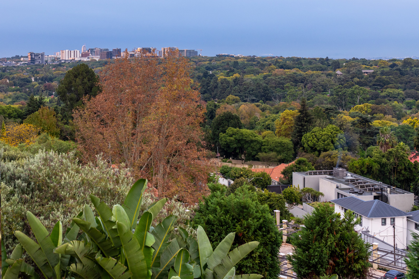 Paystack executive networking event at Four Seasons Hotel Johannesburg
